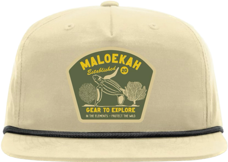 Turtle Tide Cap